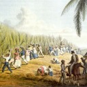 Hope for Every Slave